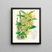 Dendrobium mirbelianum - Jean Jules Linden — framed artwork on a wall