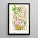 Dendrobium stratiotes - Jean Jules Linden — cuadro enmarcado en la pared