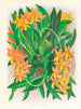 Épidendrum vitellin - Jean Jules Linden — vista de la obra