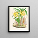 Galeandra flaveola - Jean Jules Linden — framed artwork on a wall