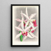 Laelia elegans - Jean Jules Linden — cuadro enmarcado en la pared