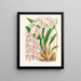 Odontoglossum alexandrae var. cutsemianum - Jean Jules Linden — framed artwork on a wall