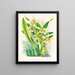 Odontoglossum duvivierianus - Jean Jules Linden — framed artwork on a wall