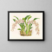 Odontoglossum lucianianum - Jean Jules Linden — framed artwork on a wall