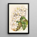 Phalaenopsis Stuartiana - Jean Jules Linden — cuadro enmarcado en la pared