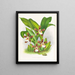 Zygopetalum jorisinum - Jean Jules Linden — cuadro enmarcado en la pared