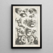 Facial Details - Jean Lepautre — framed artwork on a wall