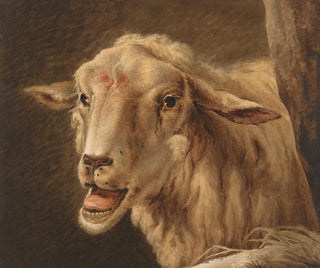 Jean Zacherie Mazel - Schaapskop after Andries Vermeulen.webp