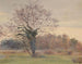 Tree in majesty in a meadow - Jeanne Jégou-Cadart — artwork view