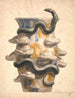 Preparation for decorated vase with snakes and plastic mushrooms - Joakim Skovgaard — artwork view