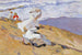 Capture the moment - Joaquín Sorolla — artwork view
