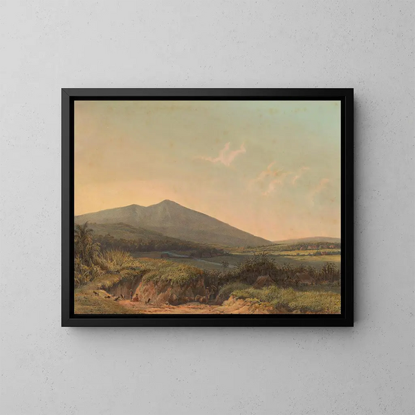 Vista de Kedungbadak - Johan Conrad Greive — cuadro enmarcado en la pared