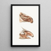 Deep facial muscles of the horse and the tapir - Johan Erik Vesti Boas — framed artwork on a wall