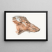 Facial muscles of the wild boar - Johan Erik Vesti Boas — framed artwork on a wall