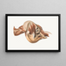 the right elephant's head after removal of facial muscles - Johan Erik Vesti Boas — framed artwork on a wall