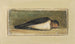 Study of a dead swallow - Johan Thomas Lundbye — artwork view