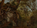 Study of the Tree - Johann Baptist Kirner — artwork view
