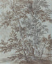 a birch forest - Johann Caspar Huber — artwork view