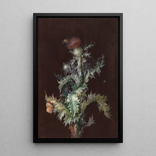 Johann Christoph Dietzsch - Thistle with Insects.webp