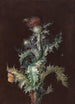 Chardon con insectos - Johann Christoph Dietzsch — vista de la obra