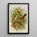 Acrocephalus agricolus Jardon Cettia cetti Marm Locustella lanceolata - Johann Friedrich Naumann — framed artwork on a wall