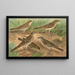 Pipit obscur Gustavi Swinhoe campestris spipoletta Richardi - Johann Friedrich Naumann — framed artwork on a wall