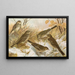 Anthus pratensis cervinus spipoletta obscurus - Johann Friedrich Naumann — framed artwork on a wall