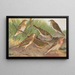 Anthus trivialis pratensis Richardi Vieillot cervinus pensilvanicus - Johann Friedrich Naumann — framed artwork on a wall