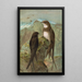 Apus apus Apus melba - Johann Friedrich Naumann — framed artwork on a wall