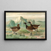 Branta bernicla - Johann Friedrich Naumann — framed artwork on a wall