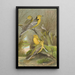 Budytes citreolus Budytes campestris - Johann Friedrich Naumann — framed artwork on a wall