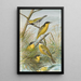 Budytes flavus cinereocapillus Savi melanocephalus Lichtenstein melanocephalus xanthophrys Dendroeca virens - Johann Friedrich Naumann — framed artwork on a wall