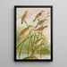 Calamodus schoenobaenus aquaticus arundinaceus - Johann Friedrich Naumann — framed artwork on a wall