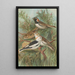 Calcarius lapponicus Plectrophenax nivalis - Johann Friedrich Naumann — framed artwork on a wall