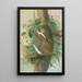 Certhia familiaris Certhia familiaris brachydactyla - Johann Friedrich Naumann — framed artwork on a wall