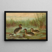 Colymbus fluviatilis Tunst, petit grèbe - Johann Friedrich Naumann — framed artwork on a wall