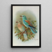 Coracias garrula - Johann Friedrich Naumann — framed artwork on a wall