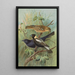 Dolichonyx oryzivorus Molothrus Cabanisii Cassin - Johann Friedrich Naumann — cuadro enmarcado en la pared
