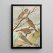 Emberiza leucocephala Gmel Emberiza cia Emberiza cinerea Strickl - Johann Friedrich Naumann — framed artwork on a wall