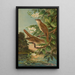 Erithacus luscinia Erithacus philomela - Johann Friedrich Naumann | Cuadro — cuadro enmarcado en la pared