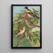 Fringilla montifringilla Fringilla coelebs Carduelis carduelis - Johann Friedrich Naumann — framed artwork on a wall