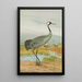 Grus grus - Johann Friedrich Naumann — cuadro enmarcado en la pared