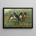 Hirundo rustica Hirundo rustica Savignii - Johann Friedrich Naumann | Cuadro — cuadro enmarcado en la pared