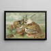 Hydrochelidon fissipes, Hydrochelidon hybrida, Hydrochelidon nigra - Johann Friedrich Naumann — cuadro enmarcado en la pared
