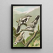 Lanius excubitor - Johann Friedrich Naumann — framed artwork on a wall