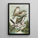 Lanius excubitor borealis Lanius meridionalis Lanius excubitor Homeyeri - Johann Friedrich Naumann — framed artwork on a wall