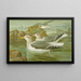 Seagull argenté Brunn - Johann Friedrich Naumann — framed artwork on a wall