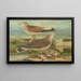 Larus canus Larus argentatus Brunn - Johann Friedrich Naumann — framed artwork on a wall