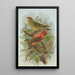Loxia curvirostra - Johann Friedrich Naumann — framed artwork on a wall
