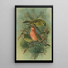 Loxia pityopsittacus Bechst - Johann Friedrich Naumann — cuadro enmarcado en la pared